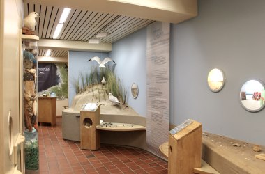 "Hummer hautnah", © Öömrang Ferian "Hummer hautnah", © Öömrang Ferian