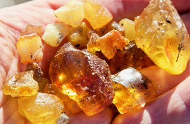 Workshop: Strandfunde bestimmen und Bernsteinschleifen, © Schutzstation Wattenmeer